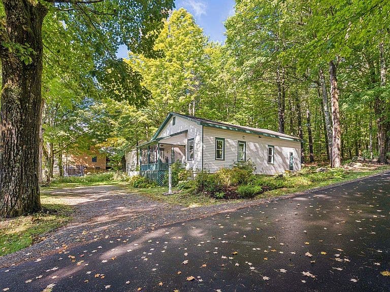 13 Harvey Road photo 4