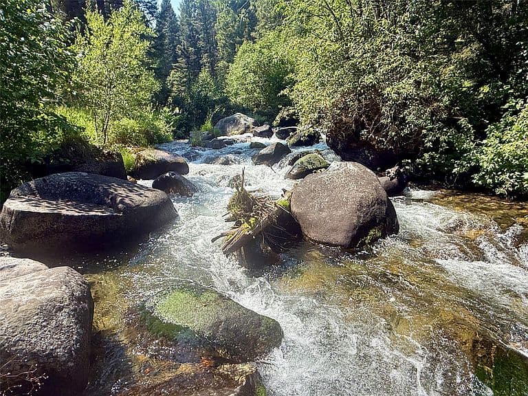 1286 Gold Creek Lakes Rd photo 3