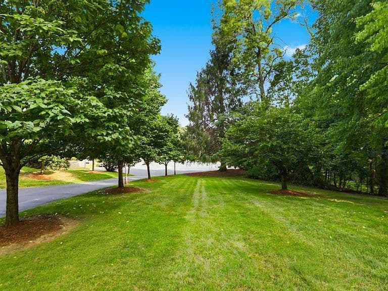 35 Hyacinth Drive photo 5