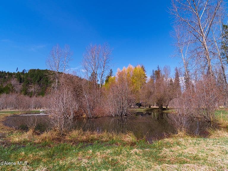 29 Red Alder Rd photo 4