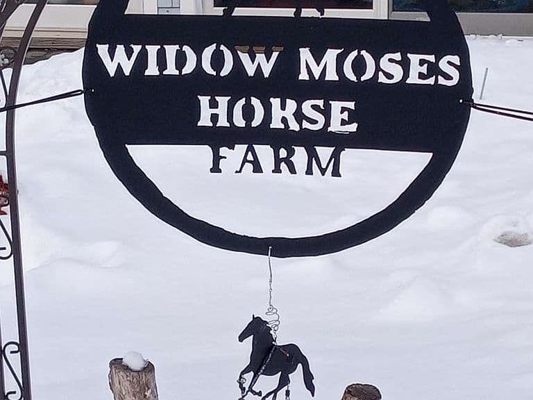 65 Widow Moses Road photo 2