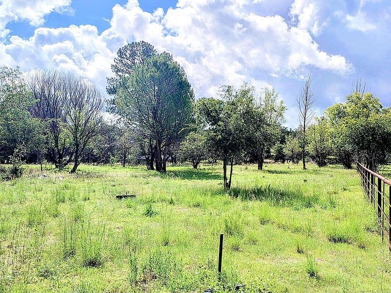 45985 N Highway 288 photo 5