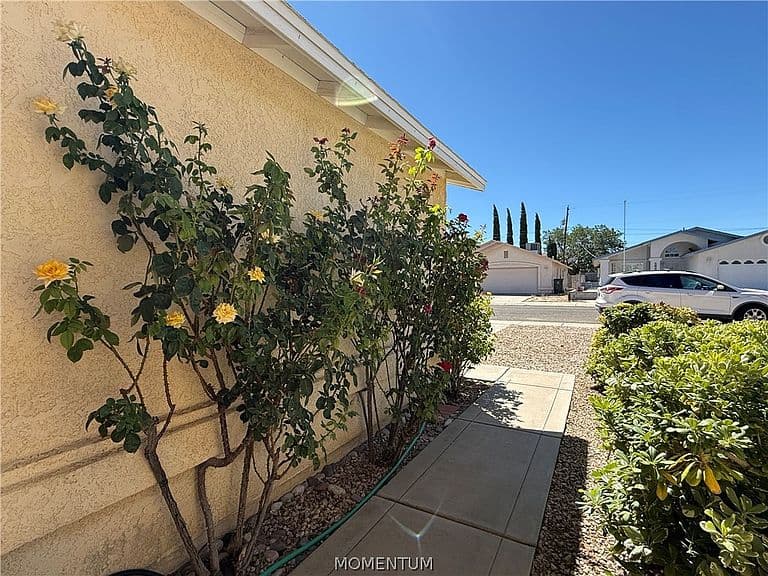 1831 Pacific Avenue photo 5