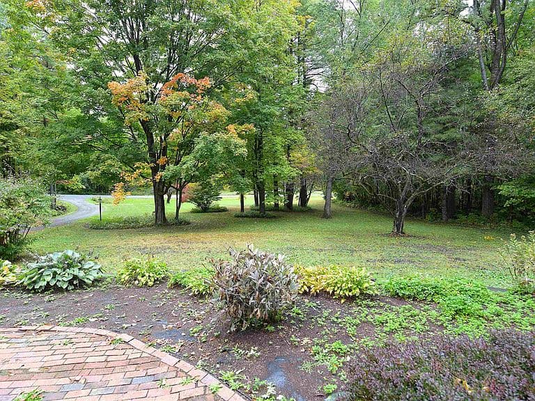 228 Yantz Hill Road photo 4
