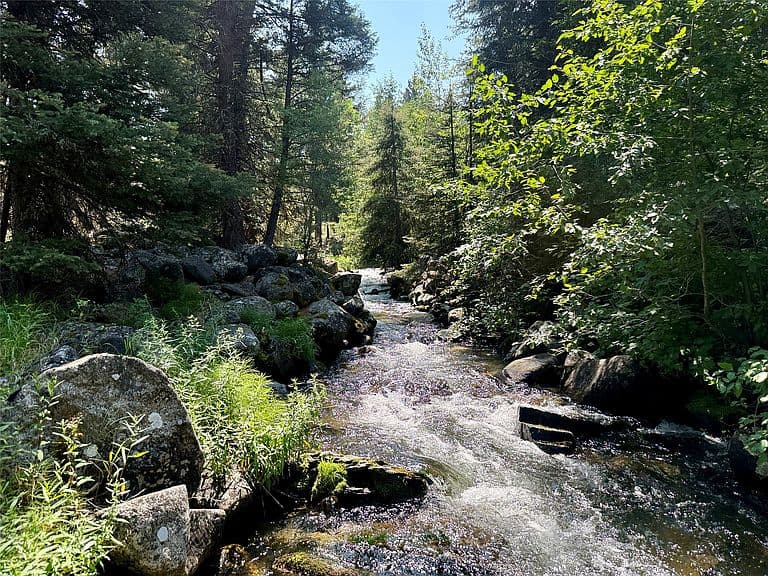 1286 Gold Creek Lakes Rd photo 2