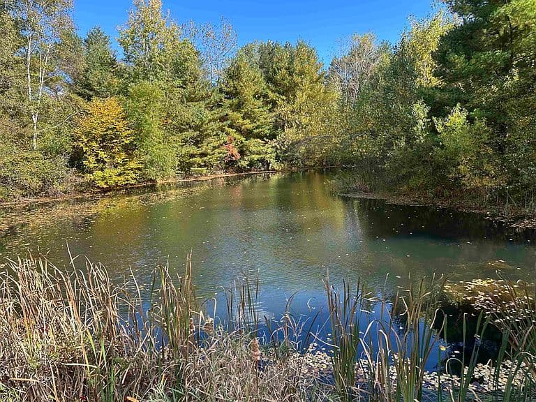 56 Old Stage Road photo 2