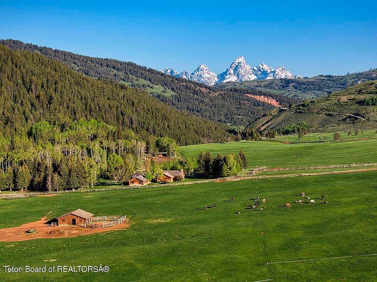 15400 Gros Ventre Trl photo 3
