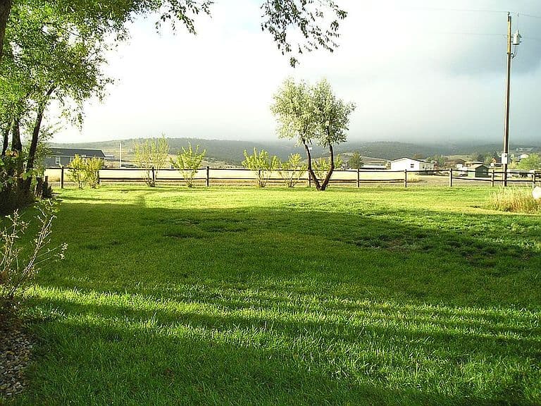 294 Red Canyon Rd photo 4