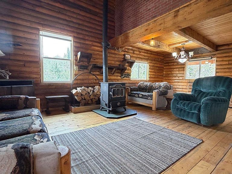 458 Dinosaur Dr photo 4