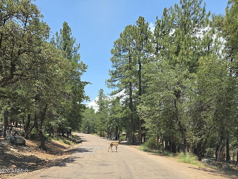 5916 W DEER CROSSING Trail photo 2