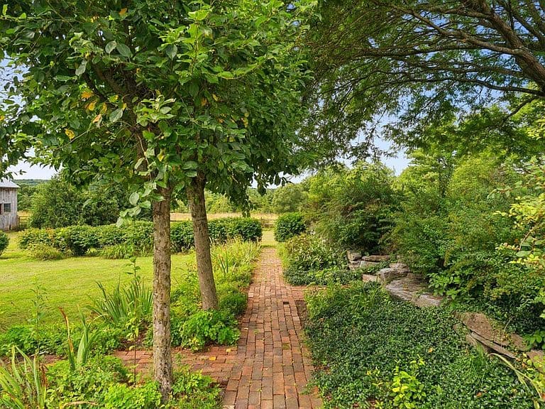 1153 Webster Road photo 5