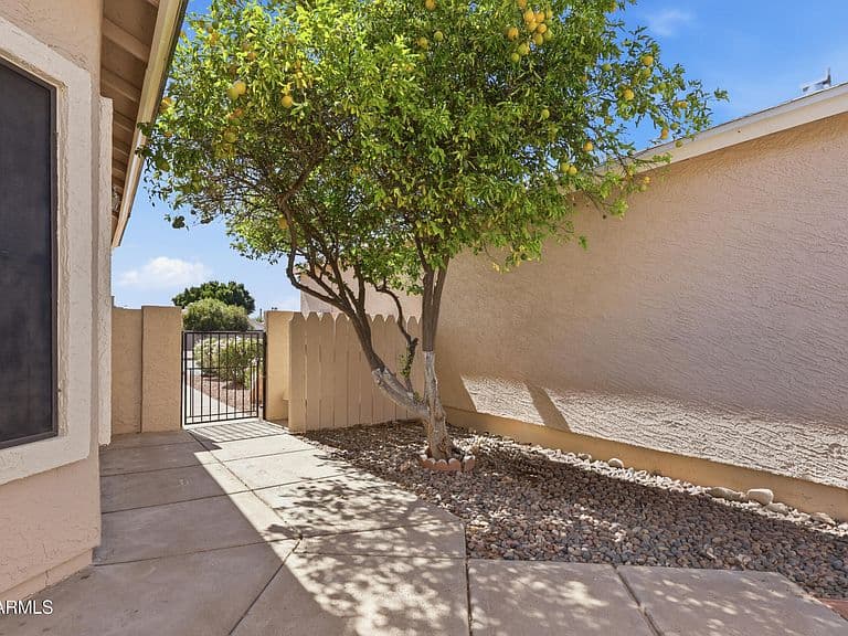 4725 E BROWN Road #86 photo 3