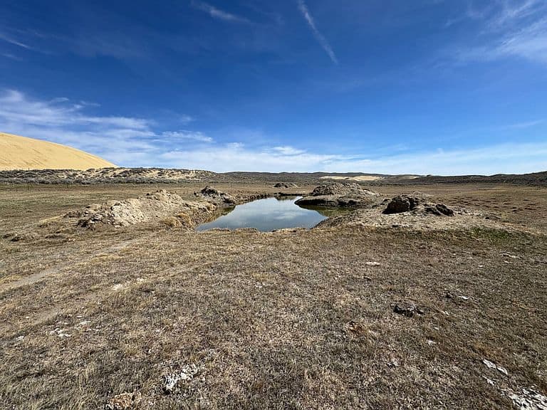 800 County Road 272 photo 2