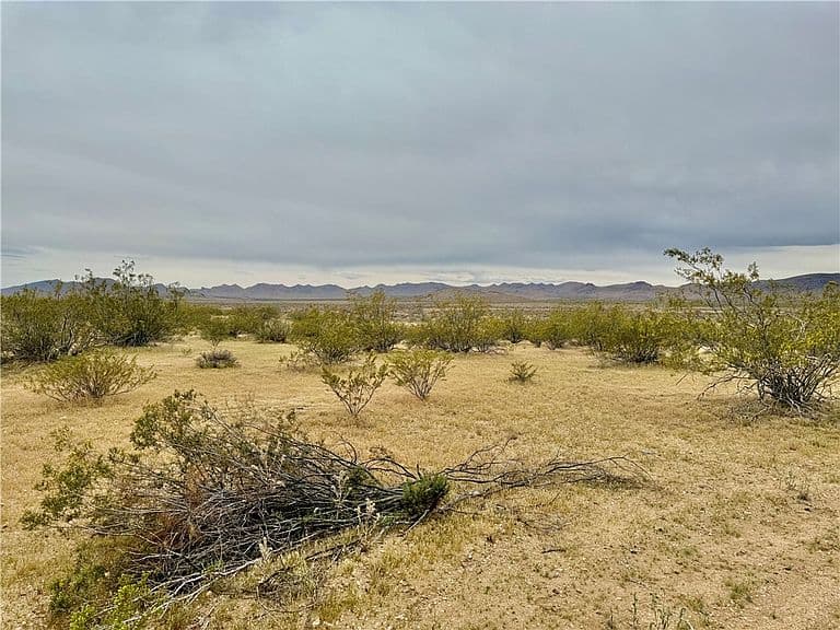 10757 N Sacramento Lane photo 4