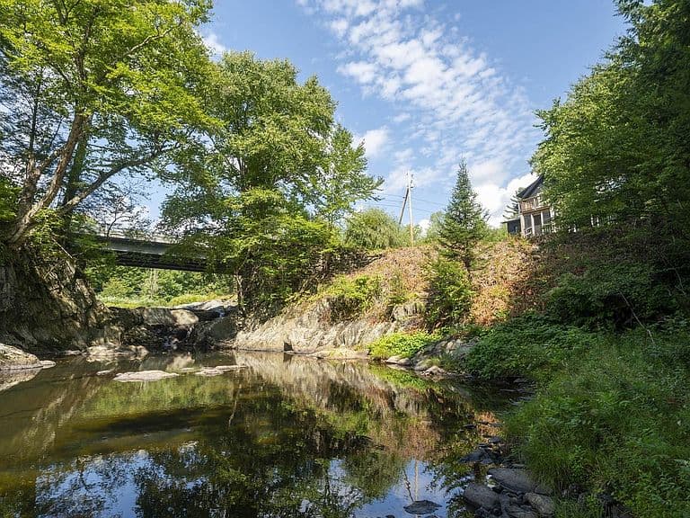 497 Elmore Road photo 4