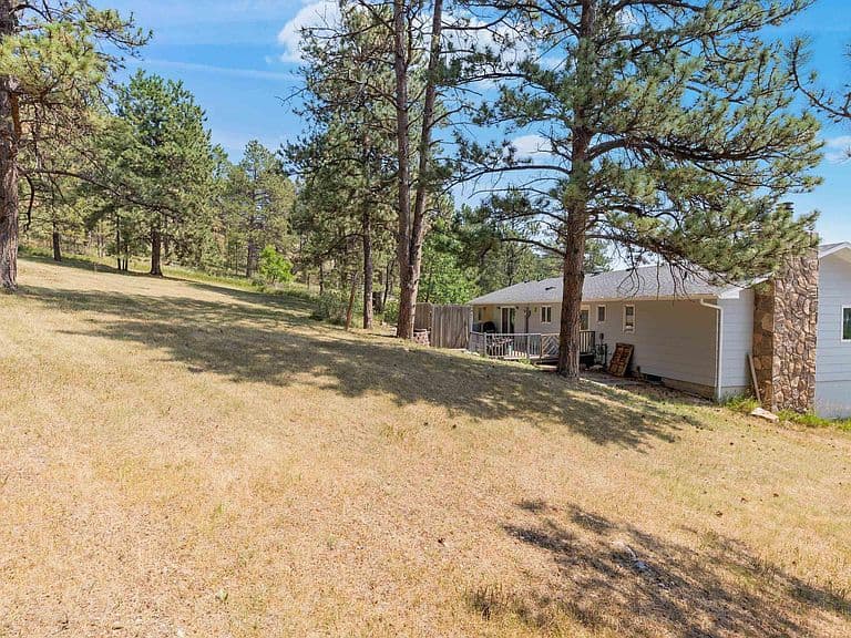 10311 Pine Canyon Rd photo 5