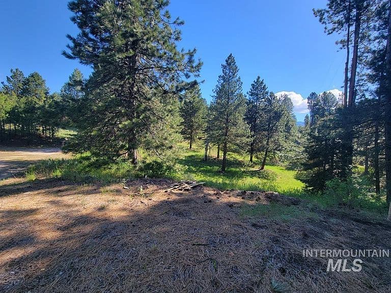 10346 Emma Loop photo 5