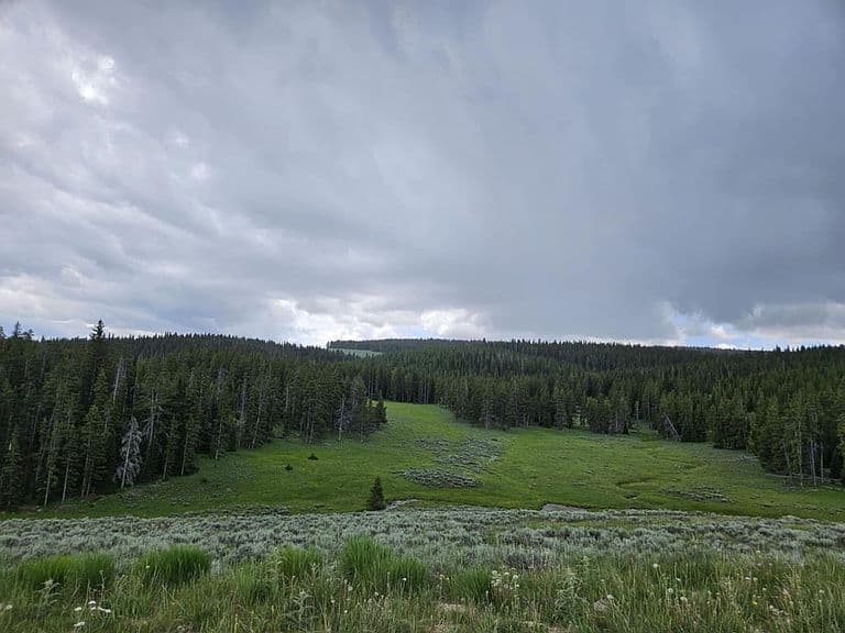 Forest Service Rd #177 photo 1