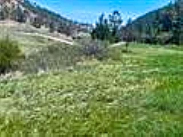 12909 Sheps Canyon Rd photo 5