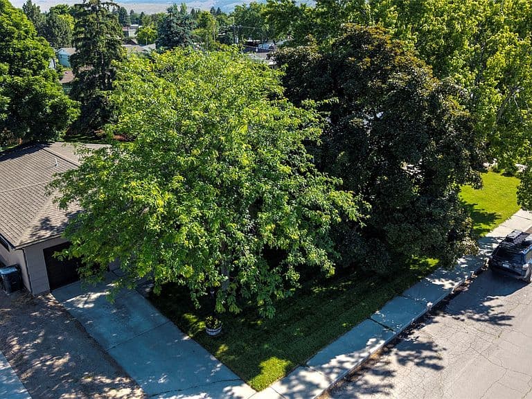 1820 Dixon Ave photo 4