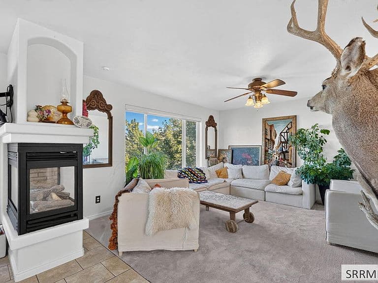 2666 Castle Peak Way photo 3