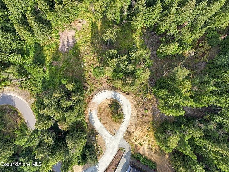 14 Timber Grove Ln photo 3