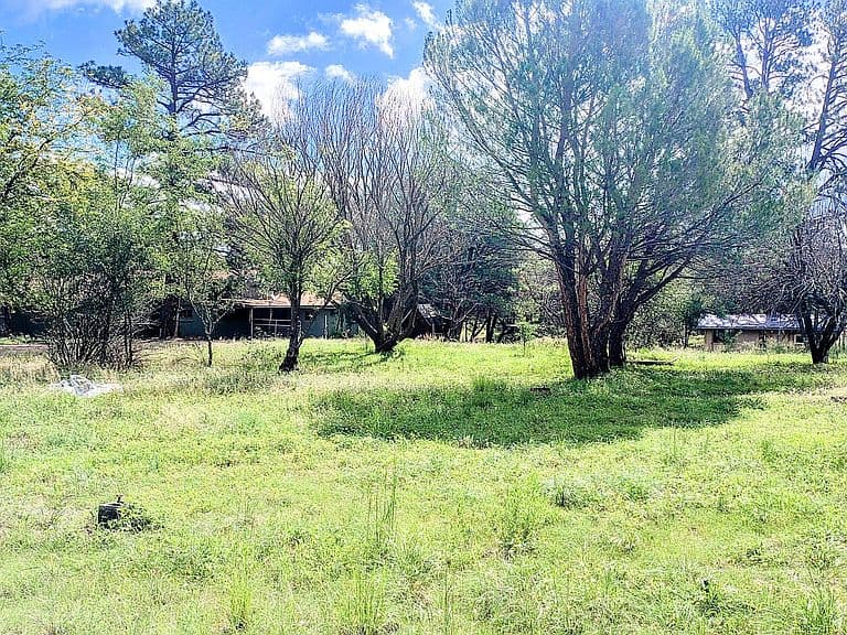 45985 N Highway 288 photo 4