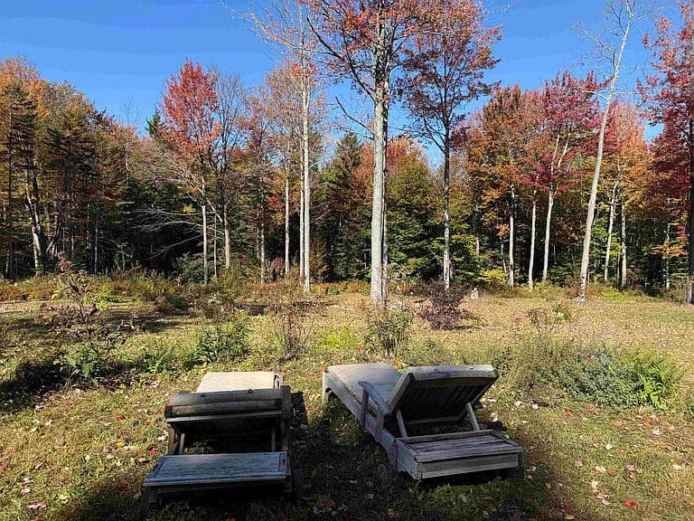 1168 South Wardsboro Road photo 4