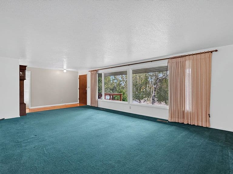 1175 Cactus Dr photo 4