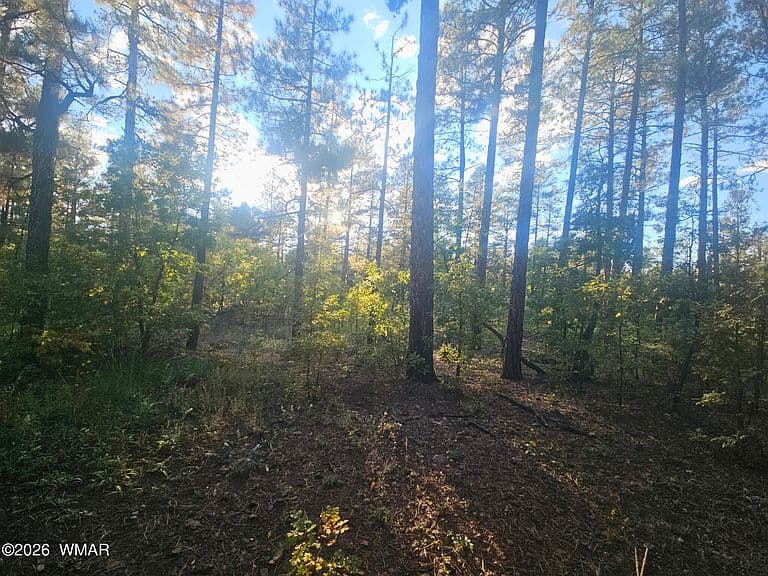 2852 Gooseberry Rd photo 4