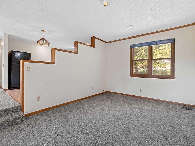 4941 Sheridan Lake Rd photo 5