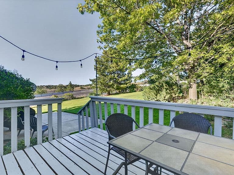 830 Mount McGuire Dr photo 5