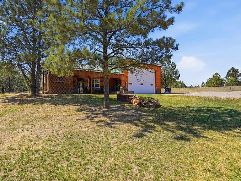 11955 Sundance Dr photo 1