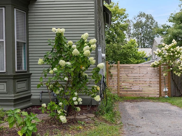 105 Park Street photo 3