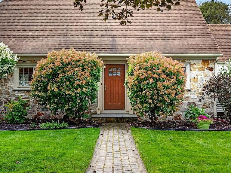 82 Edgerton Street photo 5