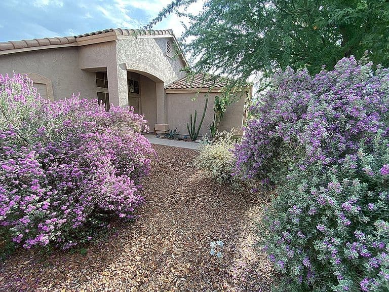 147 E Palo Blanco Way photo 1
