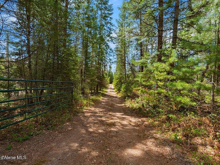 1142 Salee Creek Rd photo 3