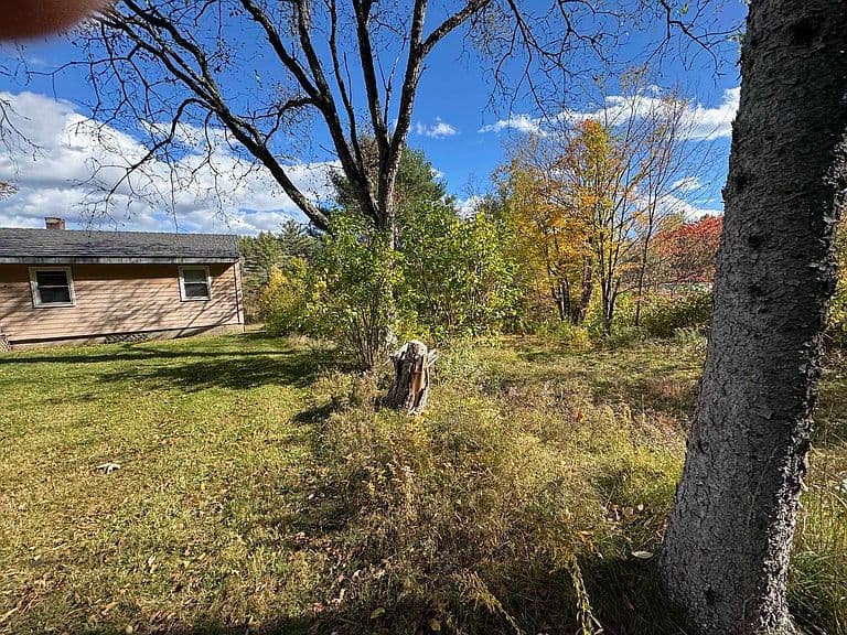 169 Cass Mill Road photo 5