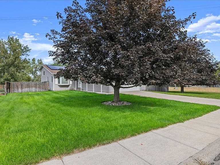 245 Sahara Dr photo 3