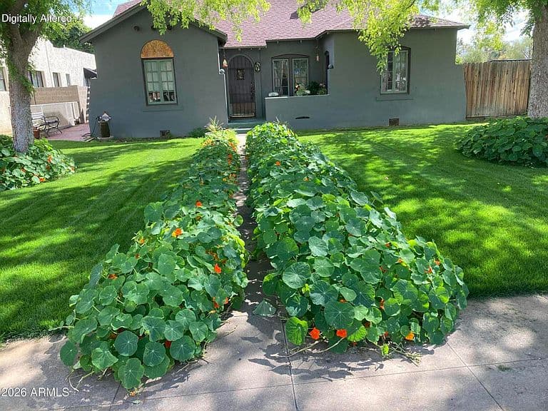 537 W WILLETTA Street photo 3