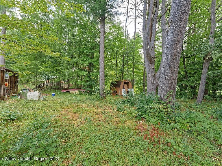 331 Battenkill Evergreens photo 5