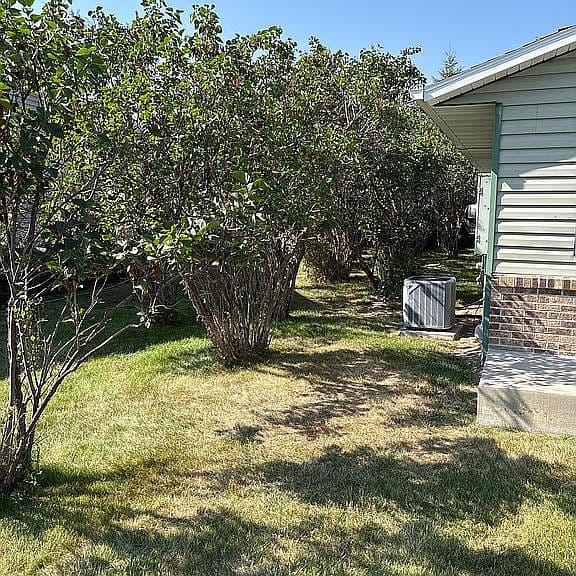 1719 Sagebrush Dr photo 2