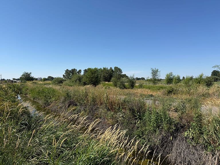 3880 Hirschi Loop photo 4