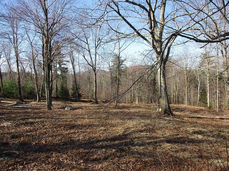 100 Wildcat Hill Road photo 4