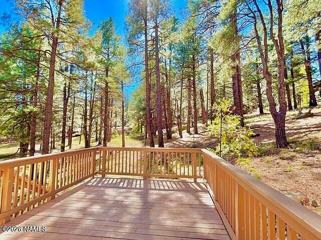 4608 Canyon Loop photo 3