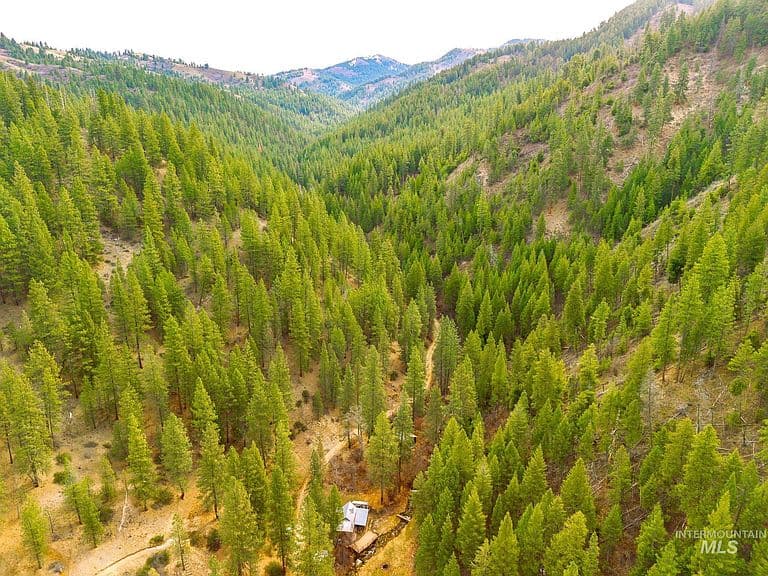 26 Yellow Pine Ln photo 3