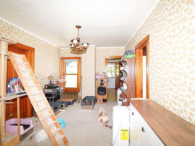 11 Blinn Street photo 5