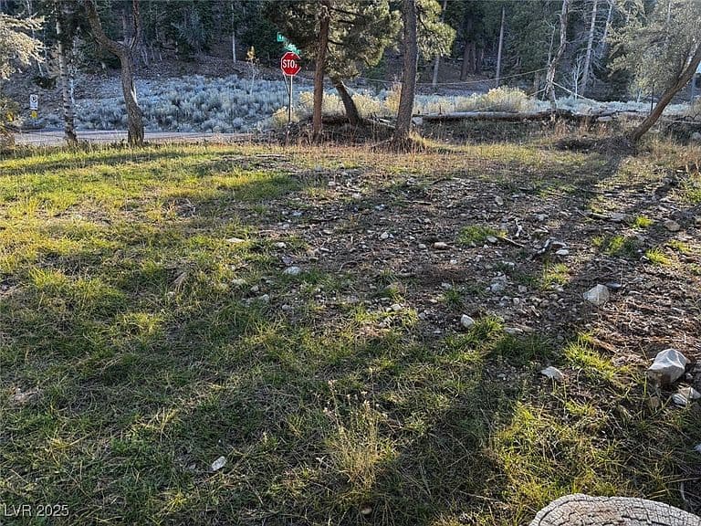 4834 Knotty Pine Way photo 4