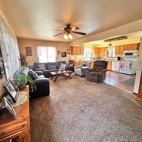 411 Mount Haggin Dr photo 5