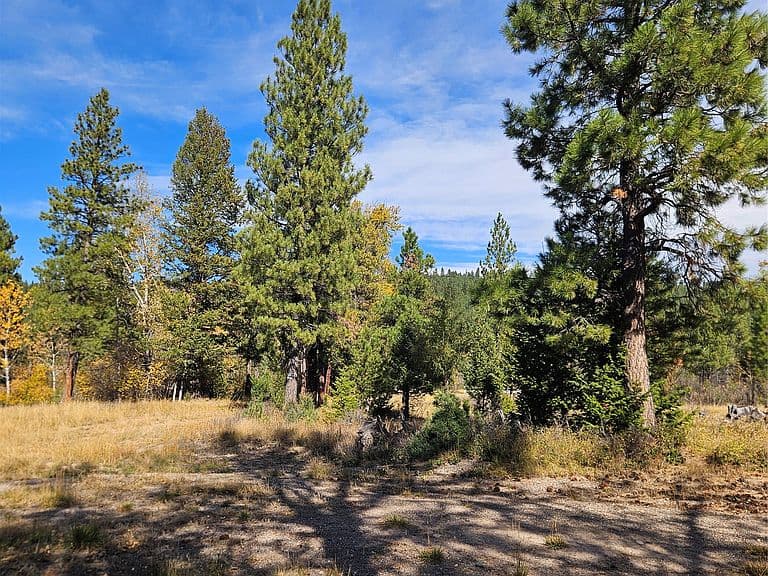 4270 Abe Lincoln Rd photo 3